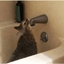 FAUCET