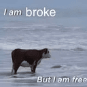 free