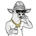 Uncbull