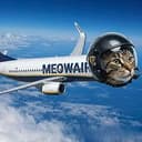 MeowAir