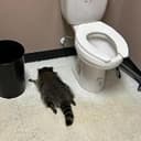 Trashed
