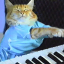 KEYCAT