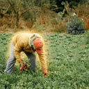 FARMGPT