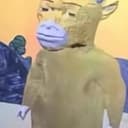 牛来2