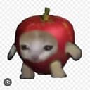AAPLCAT