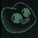PUMPE