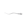 sperm