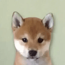 name?