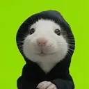 HOODRAT