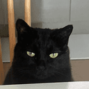 SCAT