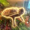 Squirt