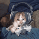 MLG