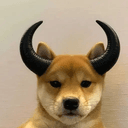 DOGWIFHORNS