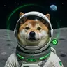 KITSUMOON