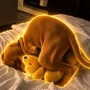 DOG T