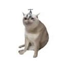 faucat