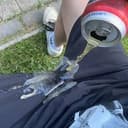 pouroutabeer