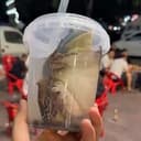 FROGTEA