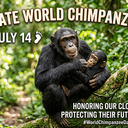 WorldChimp