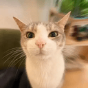LULU