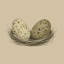 ROOST