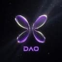 蝴蝶DAO
