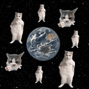 Catstronomy
