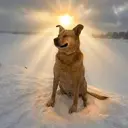 FURY