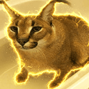 PUMBA