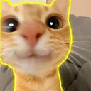 $NEON