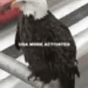 Eagle