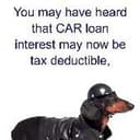 TAXDOG