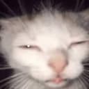 eepy