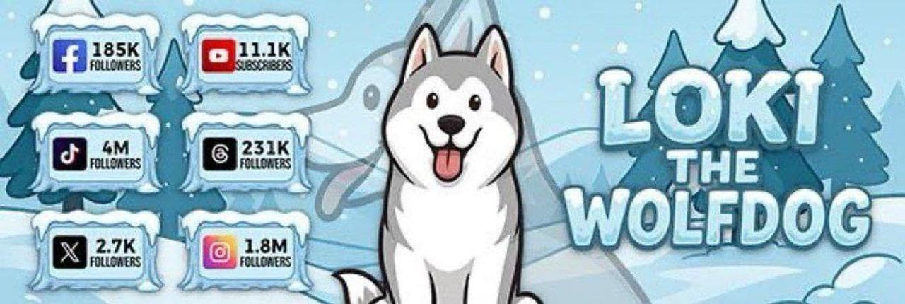 Loki the Wolfdog Banner