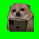 CASHDOG