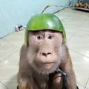 MEKEY