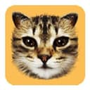 #cat