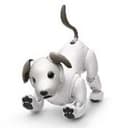 AIBO