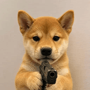 Firearm