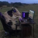 MOOFI