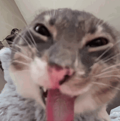 ZCAT