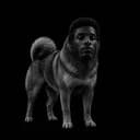 SHIBANSEM