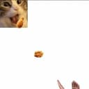 hungrycat