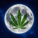 MOONWEED