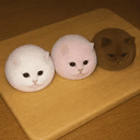 mochicats