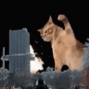 catzilla