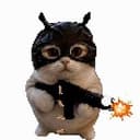 criminalcat