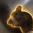 BeggingMouse