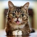 BUB