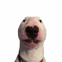 Walter